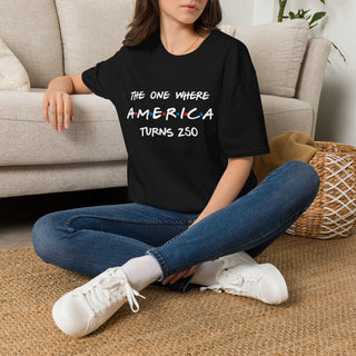 America Turns 250 Friends T-Shirt