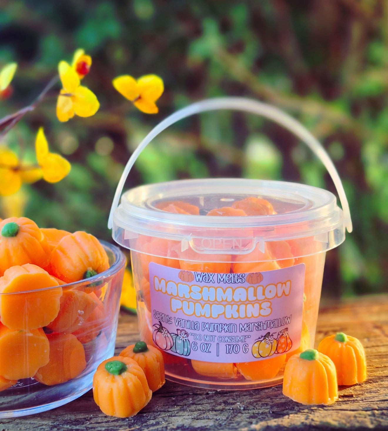 Pumpkin Bucket Wax Melts